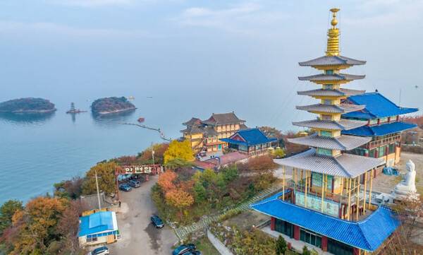 온라인 커뮤니티