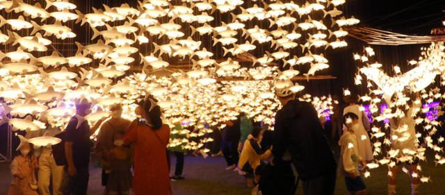 지난해 전북 무주군 무주반딧불축제 행사장을 찾은 관광객들이 전시된 야간 경관을 살펴보고 있다. 뉴시스