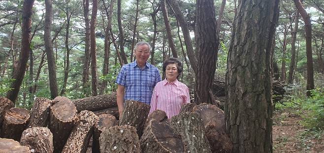 전북 임실군에서 40여년간 임업에 종사하던 전금석.김순자씨 부부는 최근 자신 소유의 임야 8.9ha를 산림청이 추진하는 산지연금형 사유림 매수제도를 통해 매매했다. 앞으로 10년간 매월 연금형으로 일정금액을 받게 된다. /사진제공=산림청