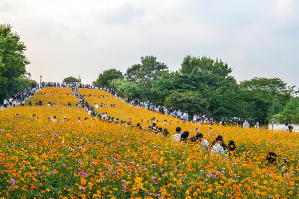 서울 올림픽공원