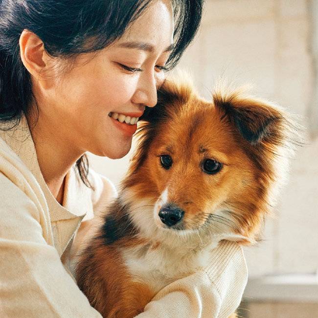 보호자가 반려견을 편하게 만져야 몸의 이상을 신속히 발견하는 등 반려견 건강을 잘 관리할 수 있다. [GETTYIMAGES]