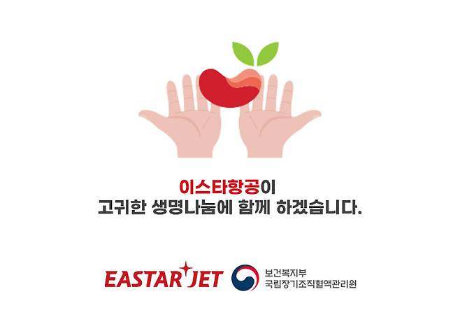 이스타항공 제공