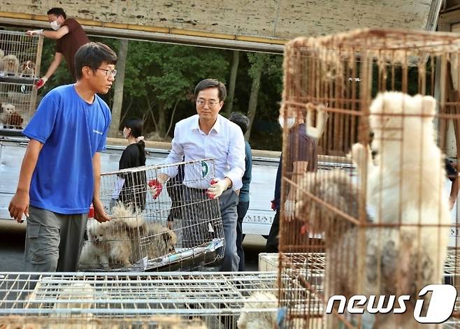 김동연 경기도지사가 2일 화성시 개 번식장에서 구조한 개들을 반려마루 여주로 옮기는 작업을 하고 있다.(경기도 제공) ⓒ 뉴스1