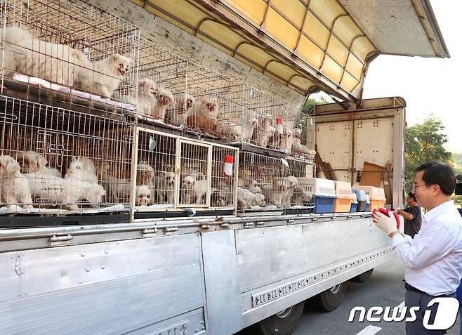 김동연 경기도지사는 2일 화성시 개 번식장에서 구조한 개들을 반려마루 여주로 옮기는 작업을 진행했다.(경기도 제공) ⓒ 뉴스1