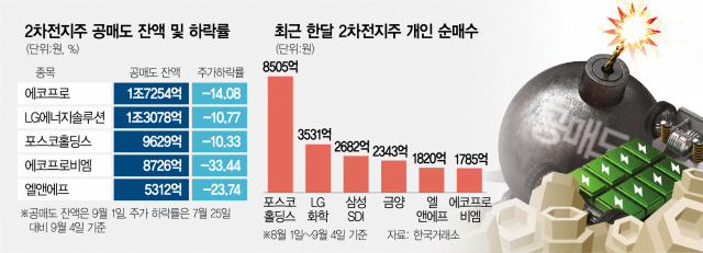 사진 설명