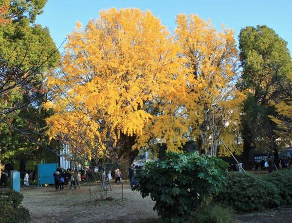 온라인 커뮤니티