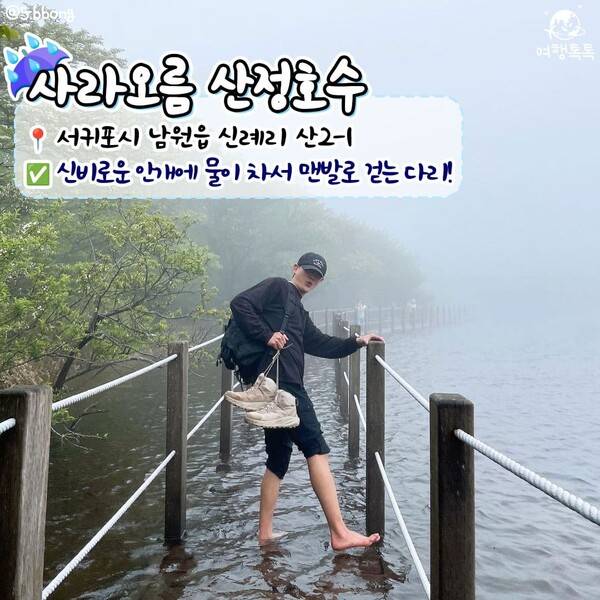 제주 비올때 가볼만한 곳 /&nbsp;@5.bbong&nbsp;