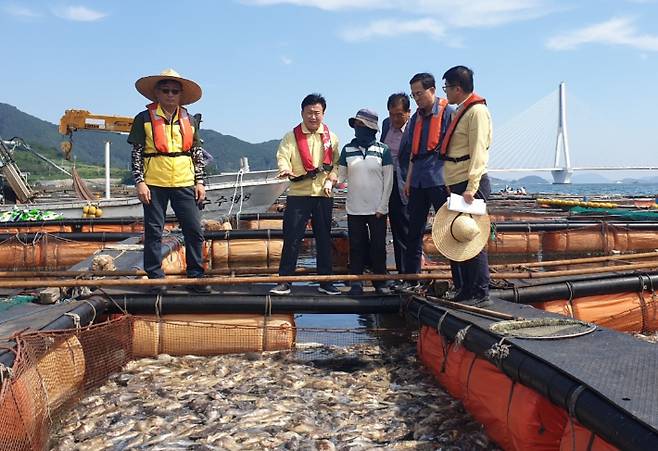 정기명 전남 여수시장은 지난달 26일 오후 돌산읍 군내리 고수온 피해 양식장을 찾아 피해상황을 점검했다. 여수시 제공