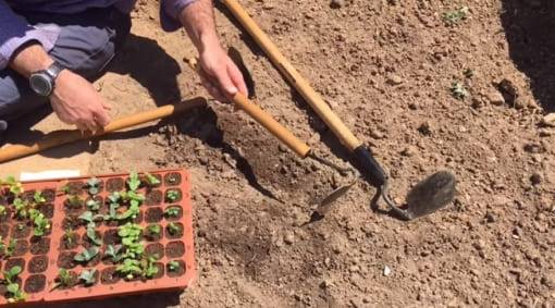 온라인 커뮤니티