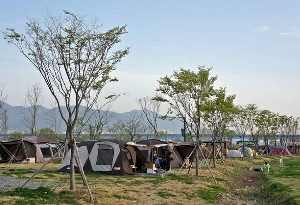 온라인 커뮤니티