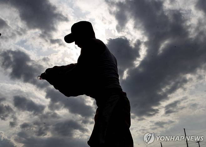 니카라과 수도 마나과에서 채소 옮기는 농민 [EPA 연합뉴스 자료사진. 재판매 및 DB 금지]