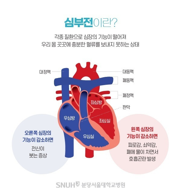 (분당서울대병원 제공) ⓒ News1