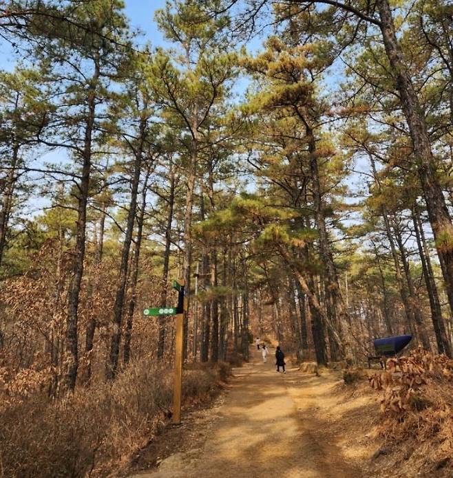 가을 문수산 군하숲길 일부 전경. 산림청 제공