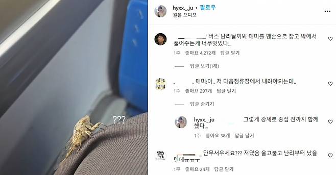 현주씨가 자신의 SNS에 올린, 매미와 친구된 이야기 영상./사진=다음 정류장에서 내려야 하는 매미 친구 현주씨