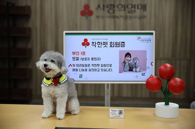 [부산=뉴시스] 7일 오후 부산 동구 부산사회복지공동모금회 사무국에서 착한펫 1호 가입식이 진행되고 있다. (사진=부산사회복지공동모금회 제공) *재판매 및 DB 금지