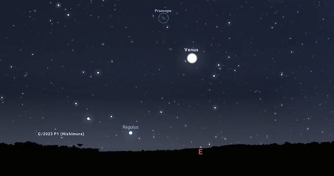 11일 새벽 동쪽 하늘의 니시무라혜성과 금성 위치. 스텔라리움.