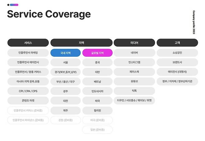 레뷰코퍼레이션 서비스 범위./사진=레뷰코퍼레이션