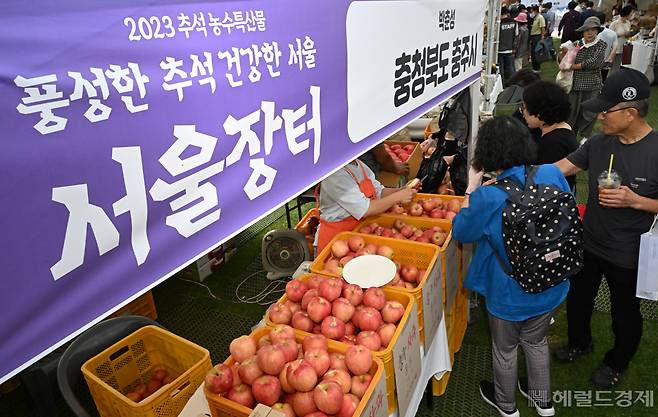 11일 서울 중구 서울광장에서 열린 '2023 추석 농수특산물 서울장터’에서 시민들이 상품을 살펴보고 있다. 임세준 기자