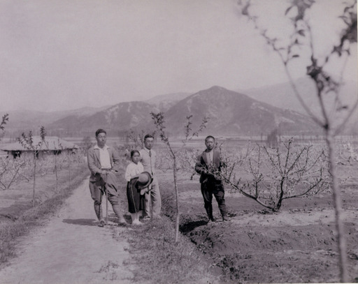 이천 장호원복숭아가 처음으로 들어온 지난 1930년 주민들이 복숭아 나무를 심고 있다. 이천시 제공