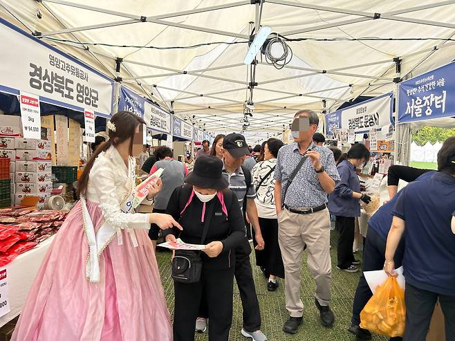 12일 서울광장에서 열린 '서울장터'는 장터를 둘러보는 사람들로 가득했다./김가연 기자