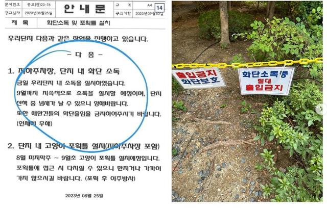 서울 강남구 삼성동의 한 아파트에 동네고양이를 이주방사하겠다는 내용의 공문이 붙어 있다. 인스타그램 캡처