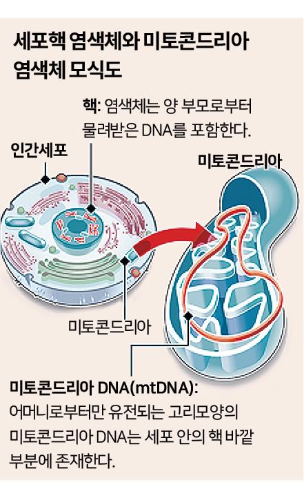 시각물=신동준기자