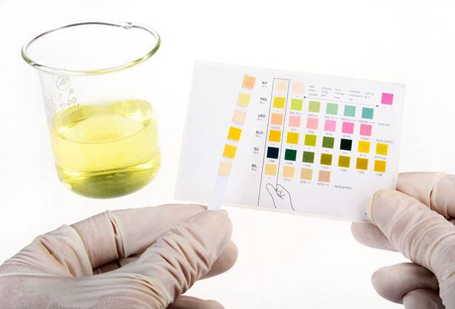 사진= 클립아트코리아