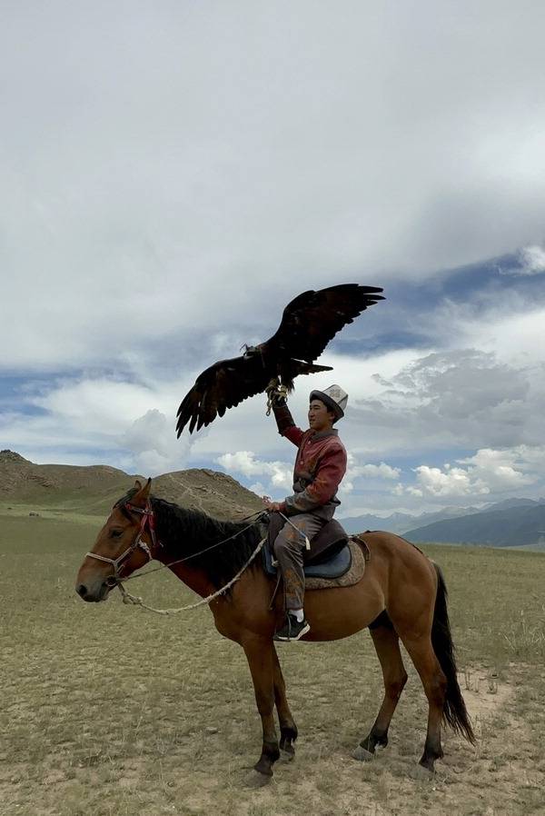 매를 날려 보내고 있는 매사냥꾼의 모습. 두번이나 세계 매사냥대회 챔피언을 한 매다.