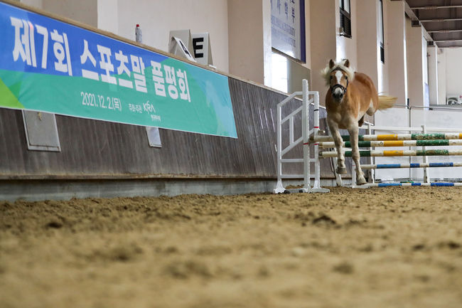 [사진]한국마사회 제공