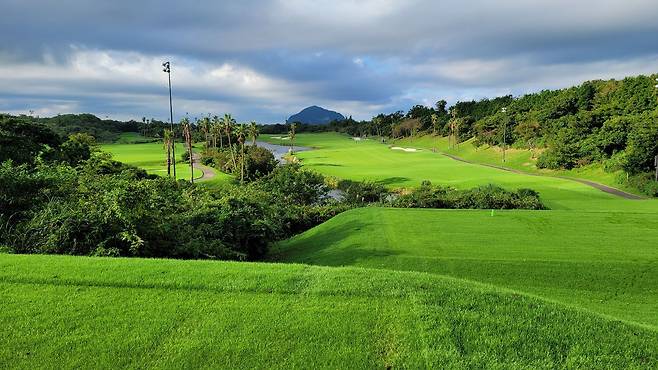 지난해 오버시딩 작업후 3주가 지난 뒤의 테디밸리골프앤리조트 모습. /올댓골프