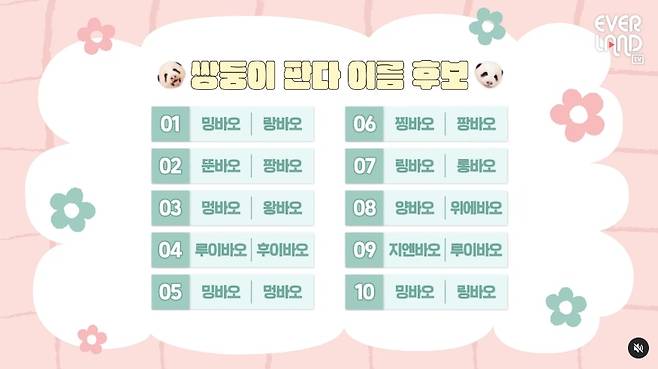쌍둥이 판다 이름 후보 10쌍. /에버랜드 공식 유튜브