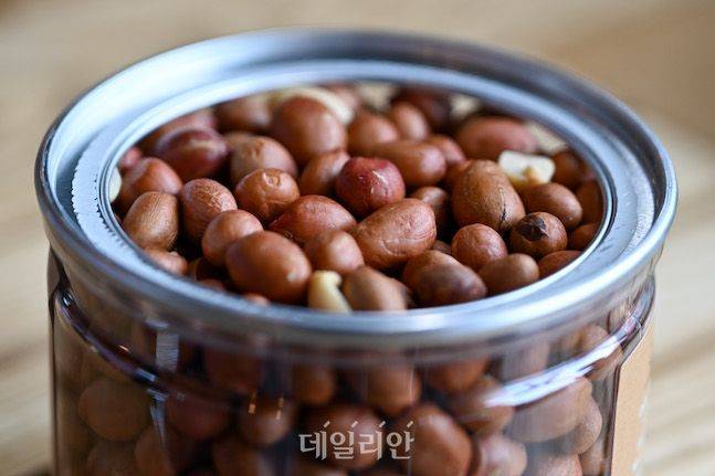 우리가 알고 있는 땅콩보다 작고 동글동글하다. 무엇보다 껍질째 먹을 수 있다는 점이 특이하다. 전 세계 땅콩 중 맛이 가장 좋다는 것이 우도땅콩 농가들의 자부심이다. ⓒ데일리안 배군득 기자