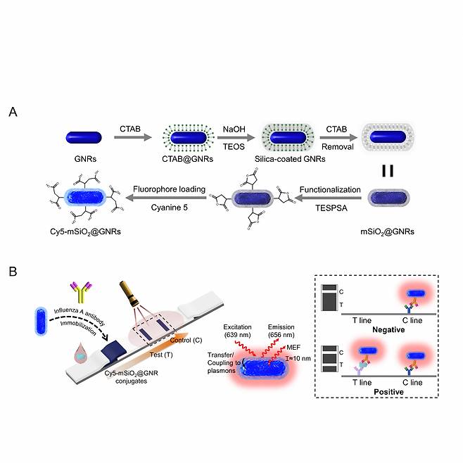 금속증강형광 현상을 일으키는 입자 합성 및 인플루엔자 바이러스 항원진단 기술에의 적용 모식도.[GIST 제공]