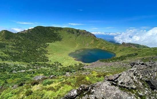 온라인 커뮤니티