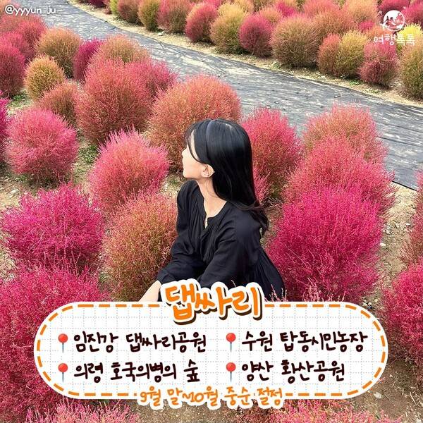 가을 데이트 코스 /&nbsp;@yyyun_ju_&nbsp;