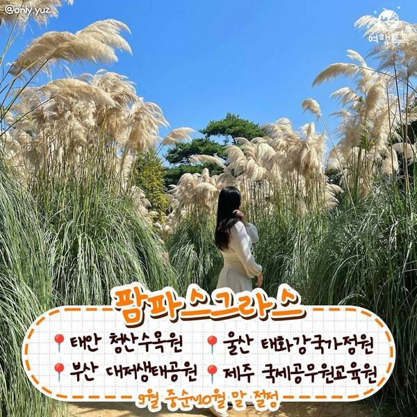 가을 데이트 코스 /&nbsp;@only.yuz&nbsp;