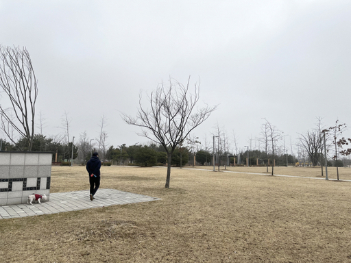 인천 중구가 올해 초 파크골프장 조성을 추진한 중산동 송산공원. 박주연기자