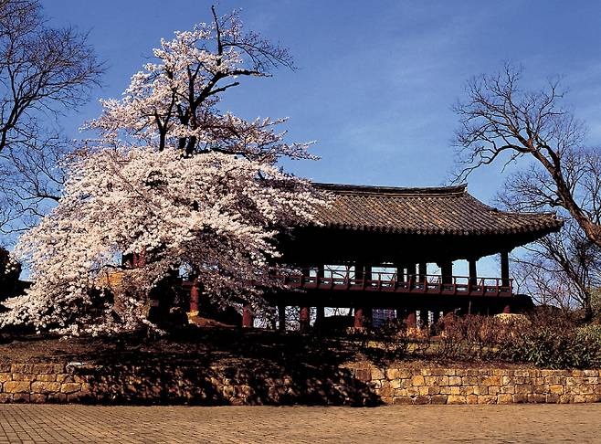 삼척 죽서루 전경. 삼척시 제공