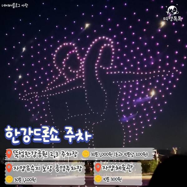 2023 서울 뚝섬 한강공원 드론라이트쇼 / 네이버 블로그 아란