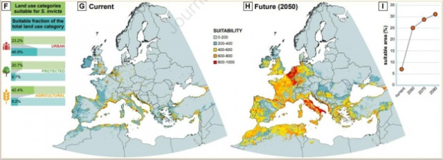 유럽 지역의 붉은불개미 서식 적합(G) 및 2050년 전망(H). 연합뉴스