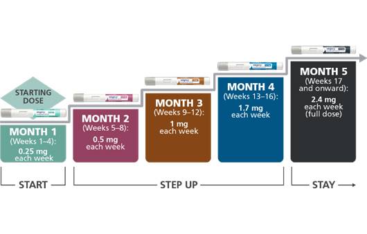 위고비ㅣ출처: Wegovy