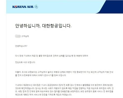 대한항공이 A씨에게 보낸 이메일. [사진 출처 = 연합뉴스]