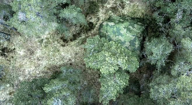 적의 레이더를 피해 통신이 가능한 차세대 스텔스 위장막 사브 바라쿠다 ULCAS FSS. 출처: 사브