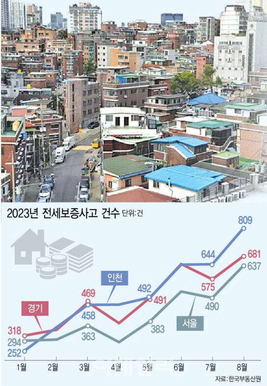 [그래픽=이데일리 이미나 기자]