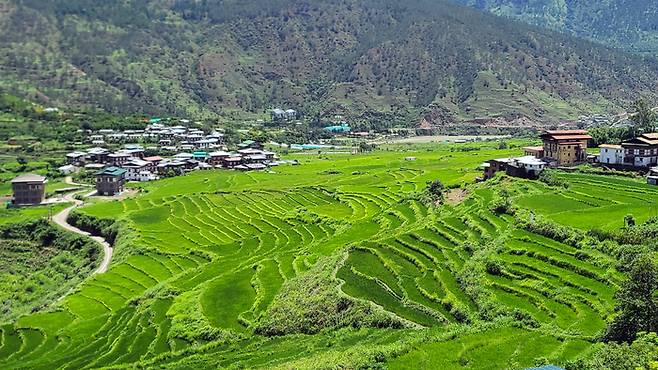 부탄 푸나카의 한 마을.