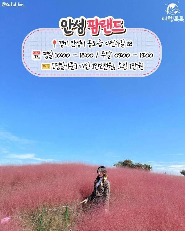 핑크뮬리 명소 추천 / ⓒ여행톡톡