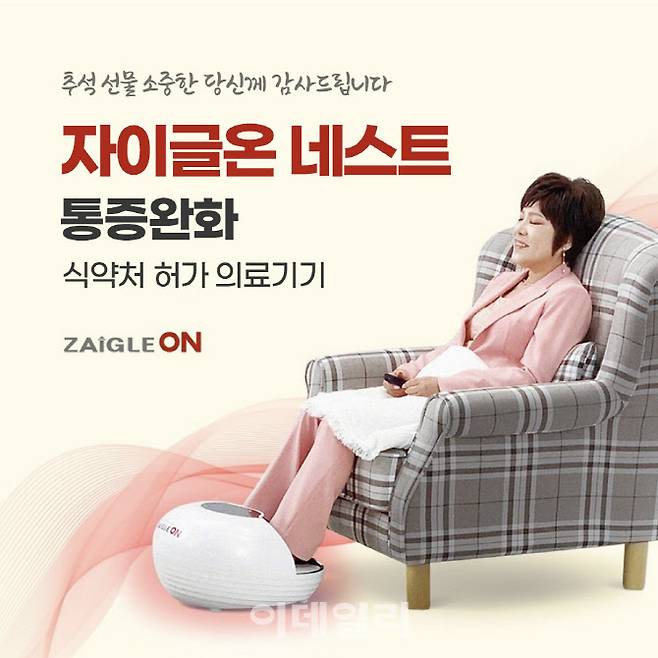 프리미엄 고주파 의료기기 ‘네스트’ 제품 이미지. (사진=자이글)