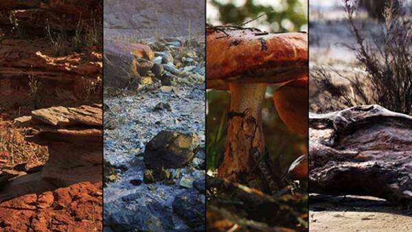 에픽게임즈가 인수한 기업 퀵셀의 메가스캔 활용 과정. (사진=에픽게임즈)