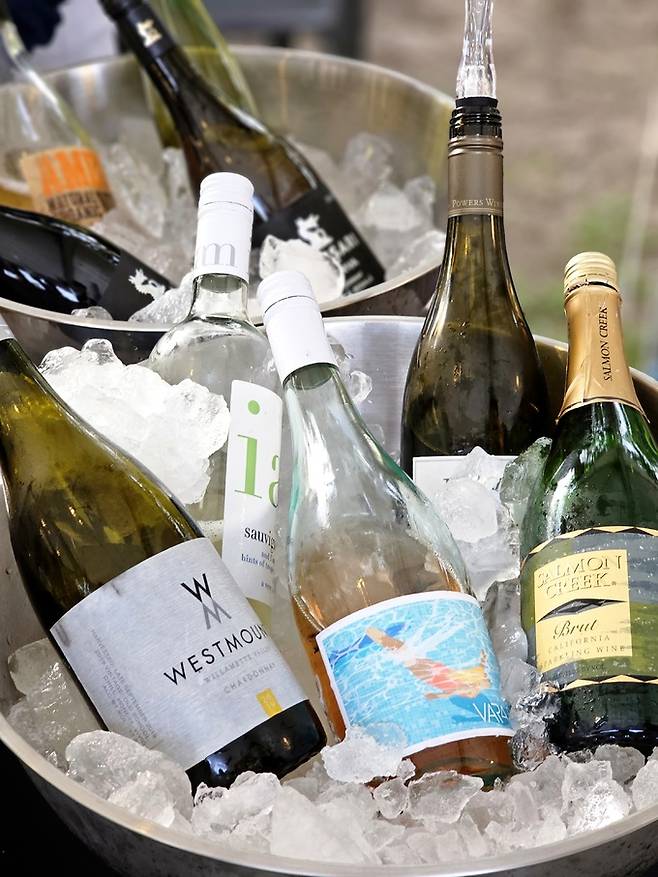 비니더스코리아 수입 와인들.