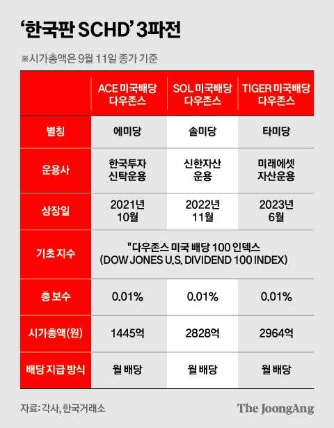 김영희 디자이너